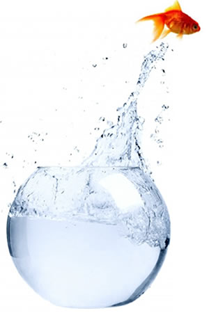 Website Design & Corporate Video | London