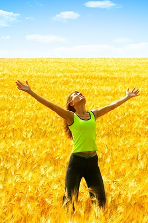 Small Business Website Design London